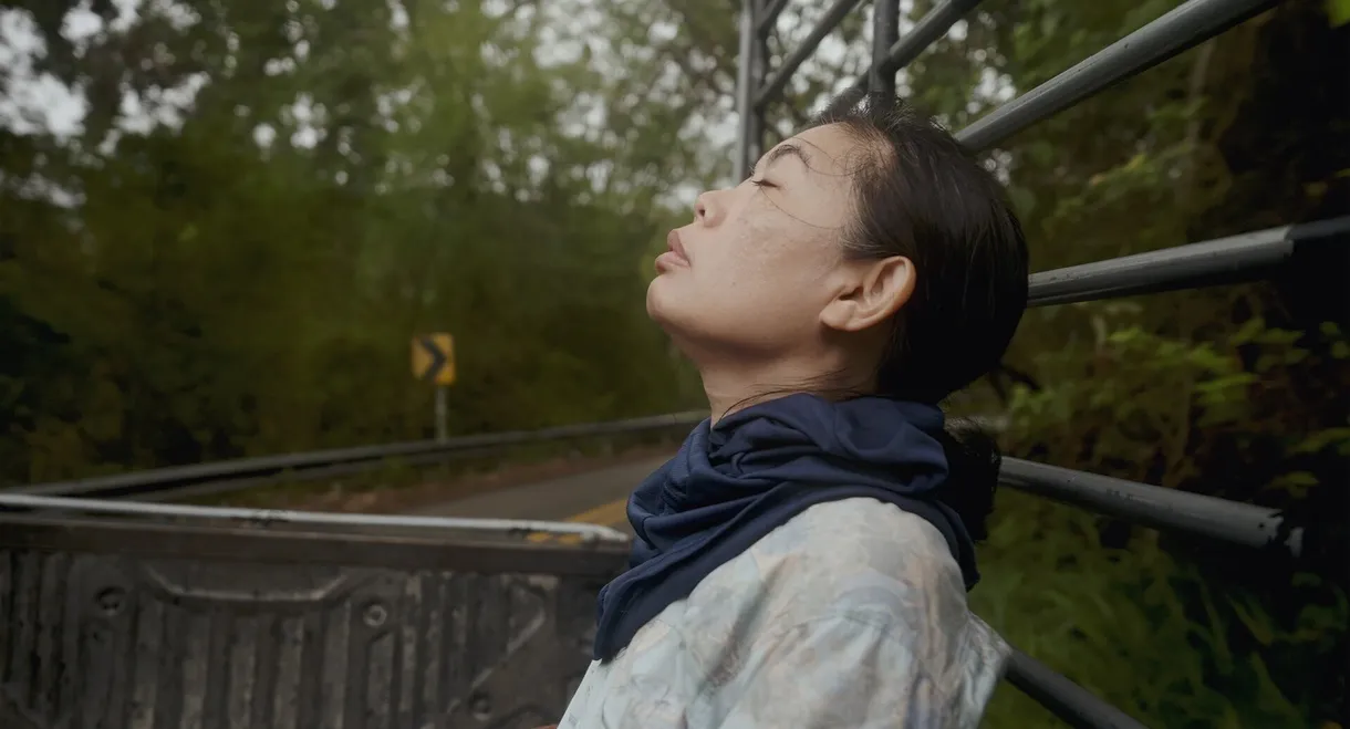 Because Watching Pacifies