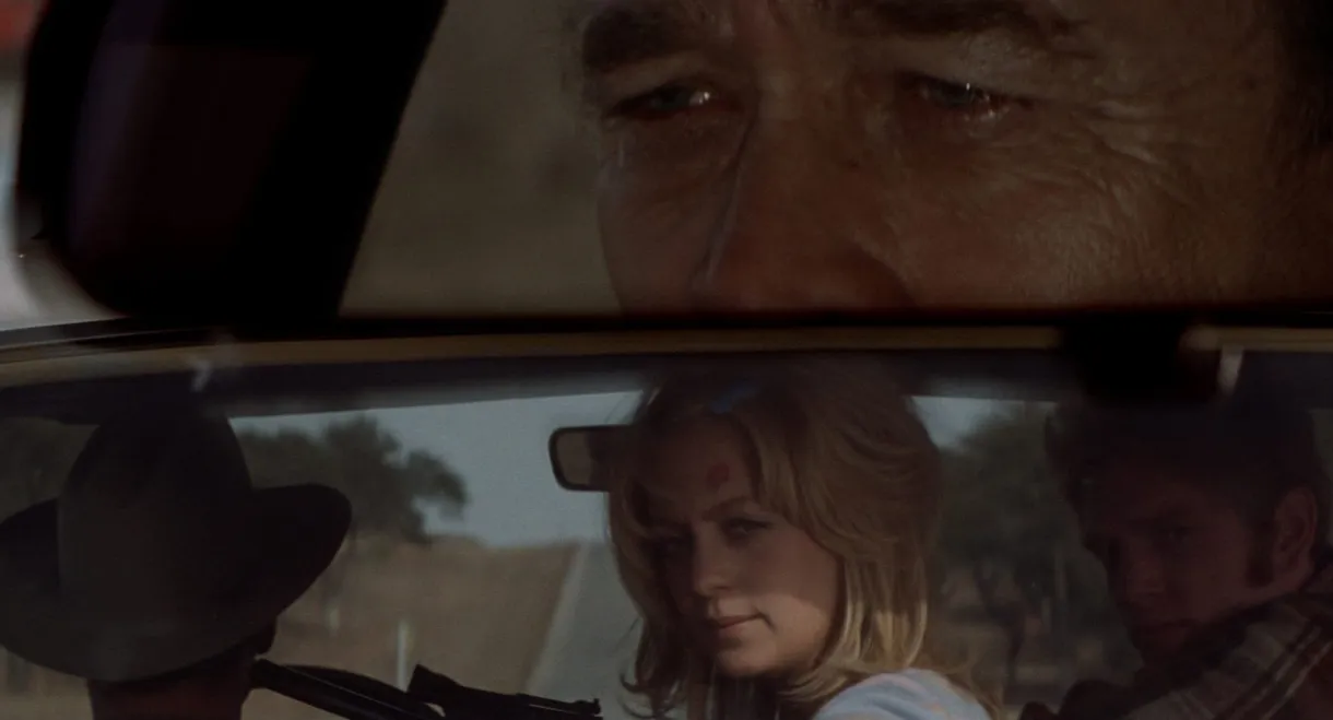 The Sugarland Express