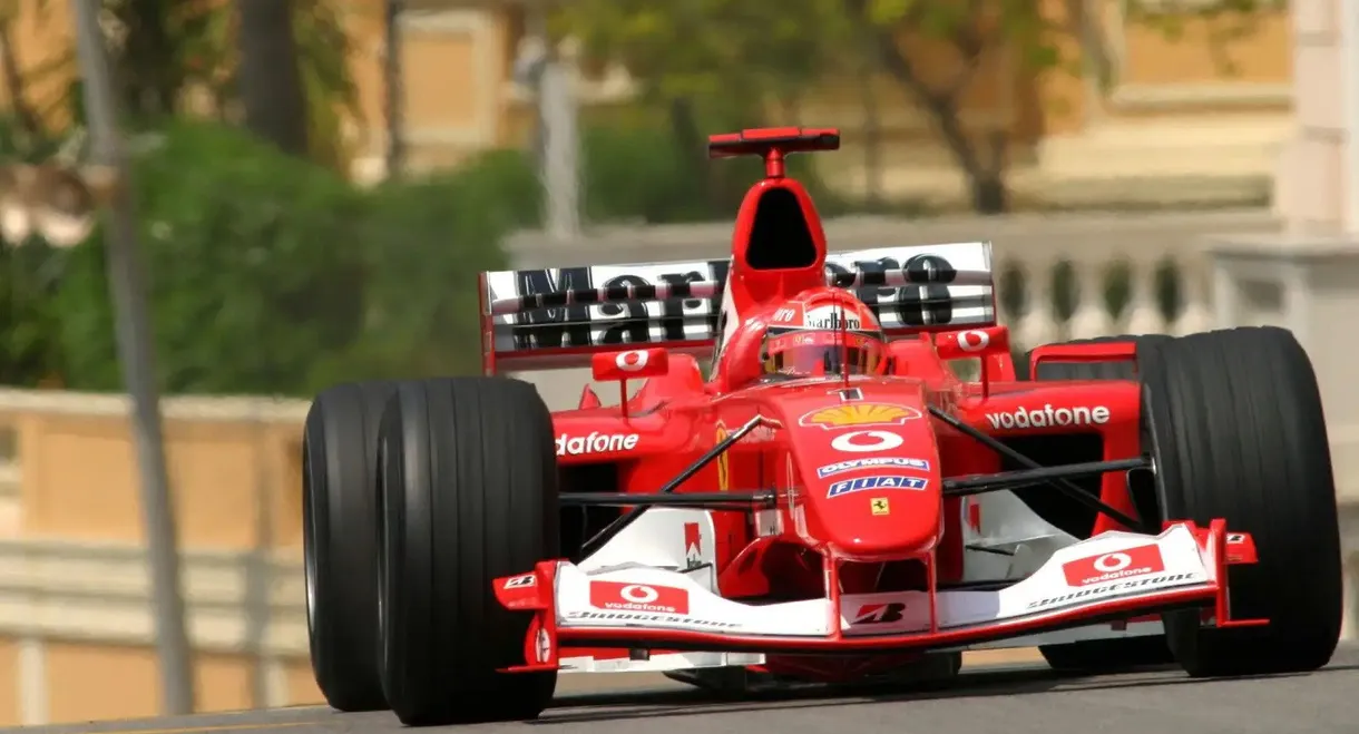 Michael & Co. The Dream Team: The Official Review Of The 2003 FIA Formula One World Championship