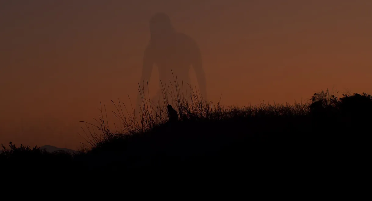 A World Softly Lulls