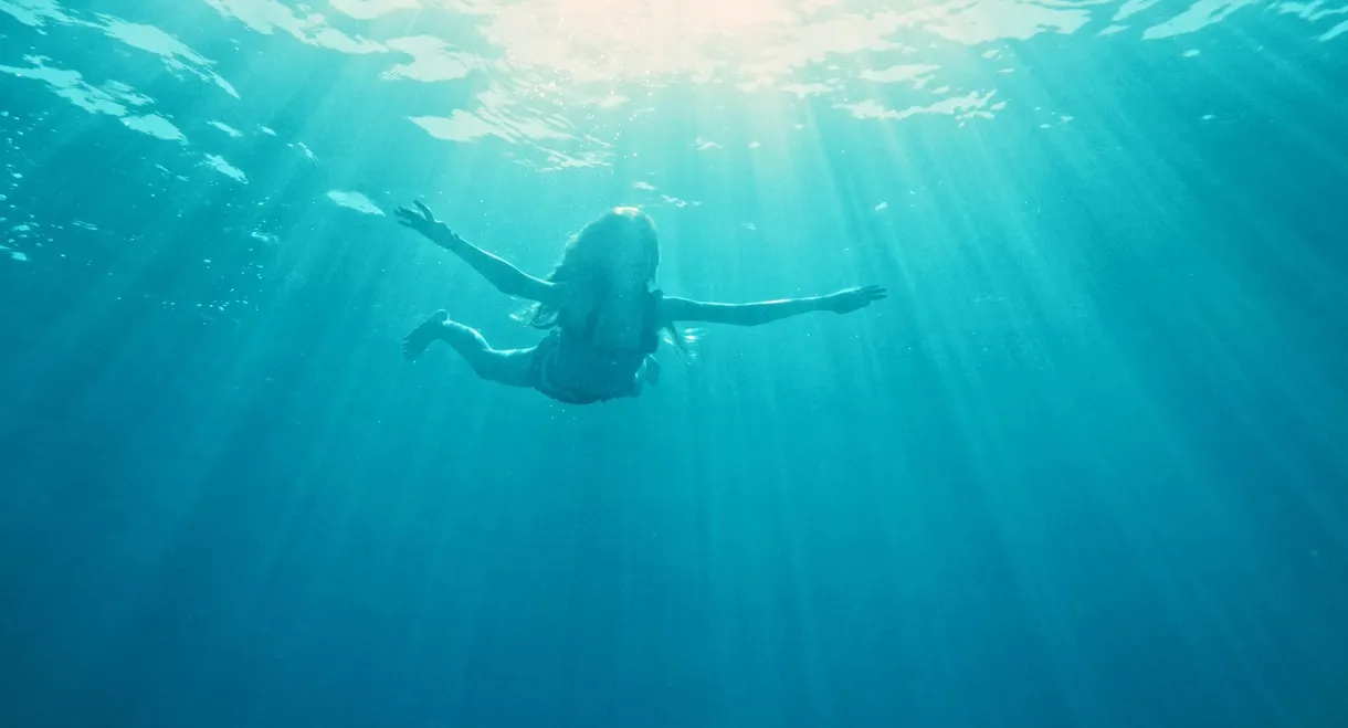 How I Learned to Fly