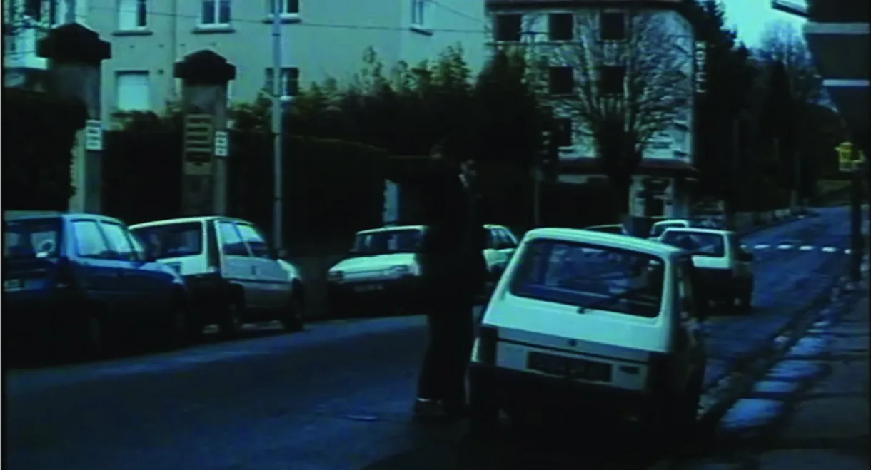 Bernard ou Les apparitions