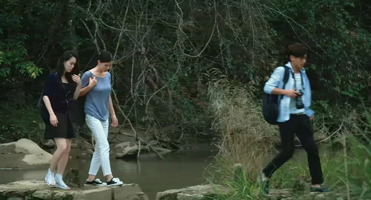 Favorite Begonia Flower