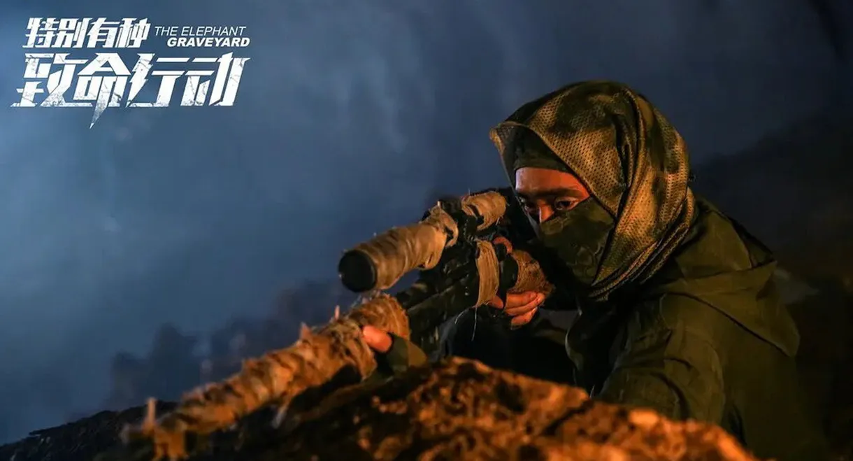 The Elephant: Graveyard