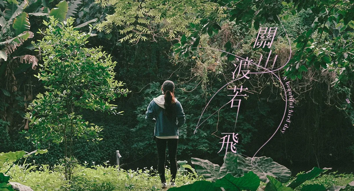 A Beautiful Bird Day