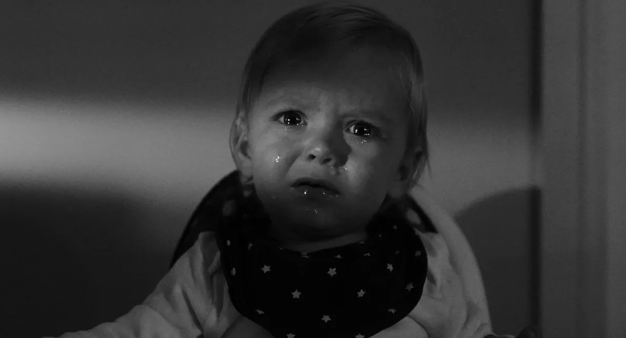 Bunny Jake Is Missing