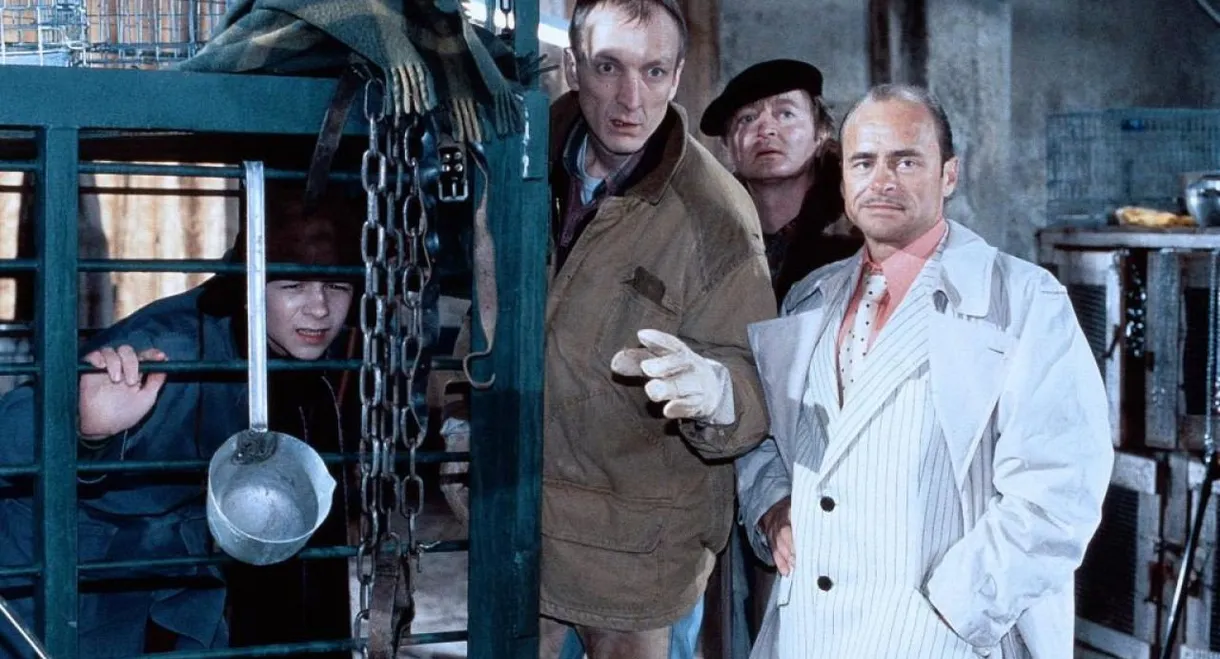 Alle lieben Willy Wuff