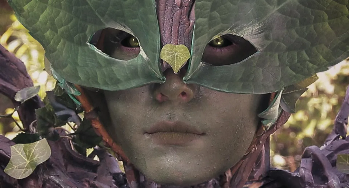 There's Something in the Woods