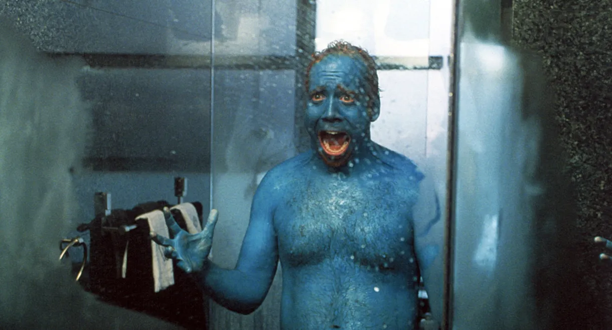 Big Fat Liar