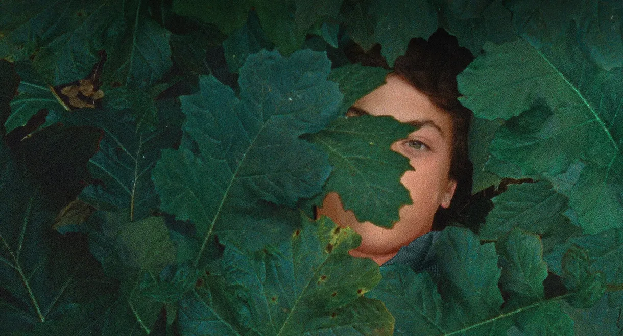 The Metamorphosis of Birds