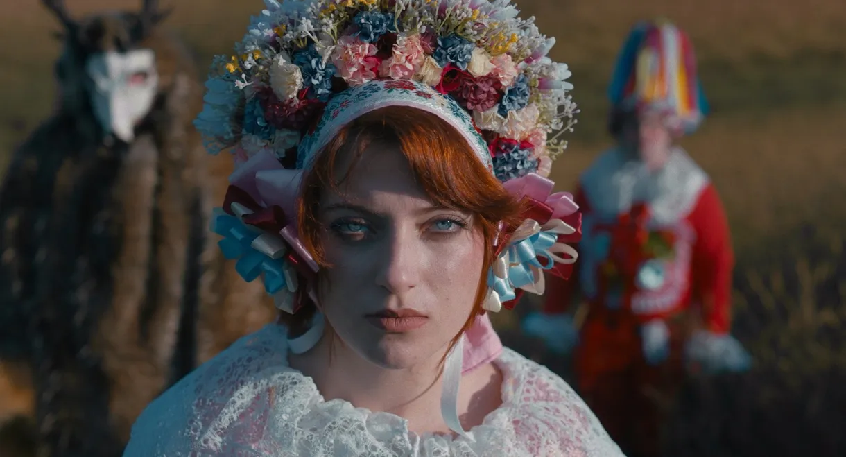 The Other Side of the Farmland