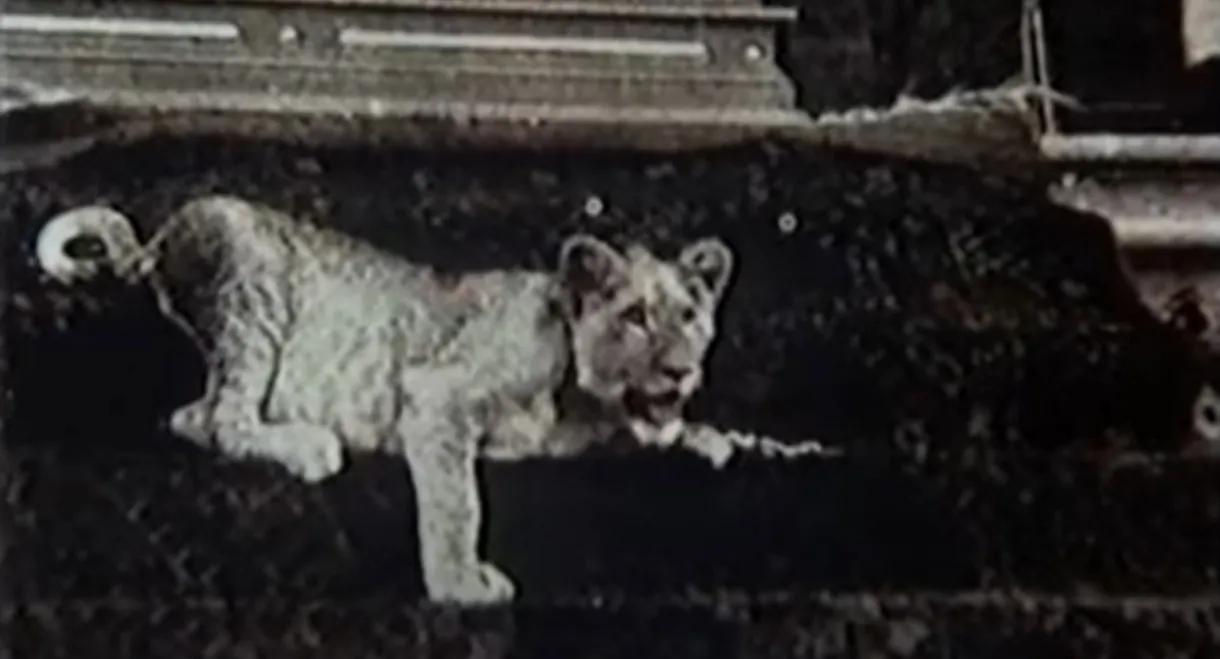 Upon Westminster Bridge