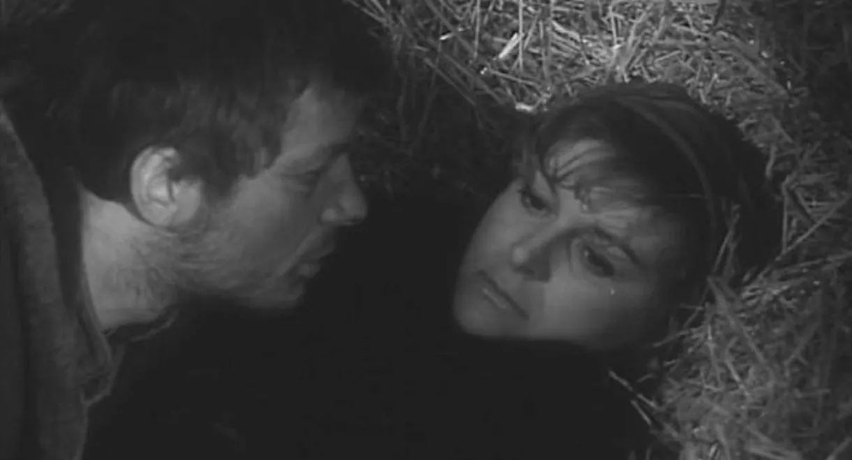 In a Remote Homestead