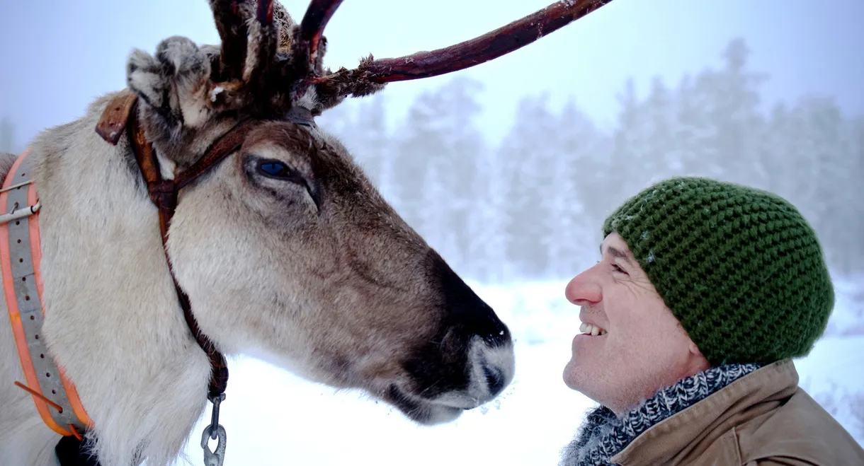Reindeer Family & Me