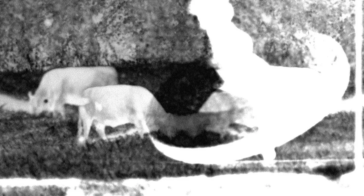 A Formal Explanation of the Experience of Witnessing "blue"