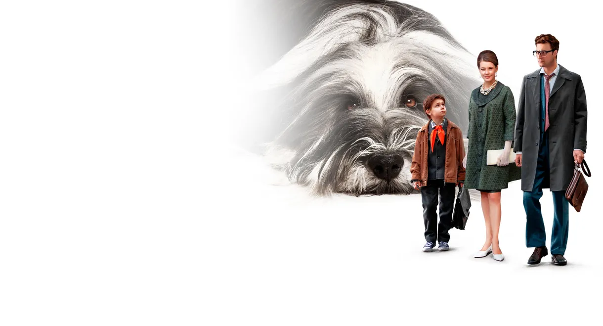 Everyone Dreams of a Dog