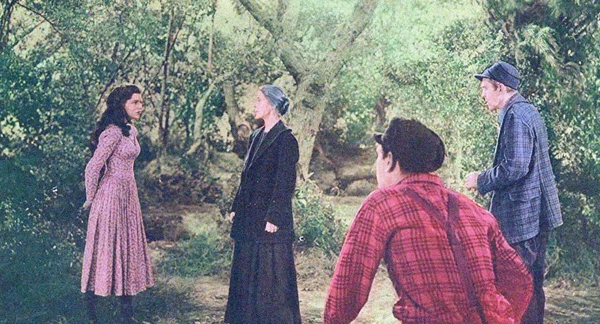 The Girl of the Limberlost