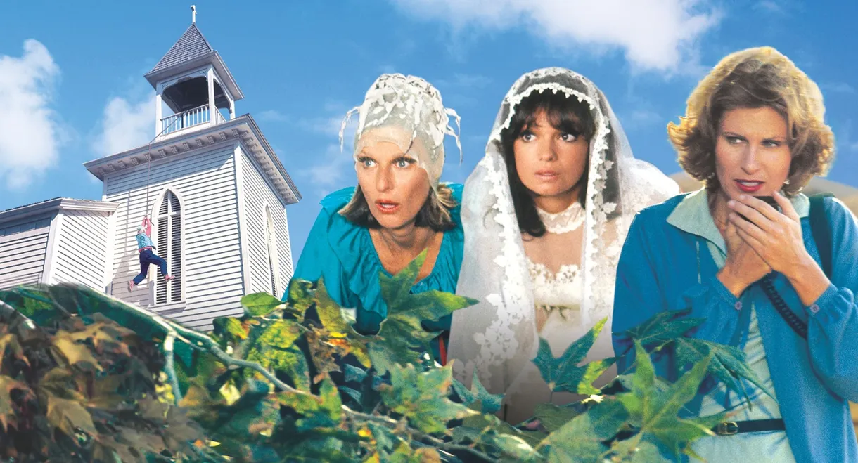 The North Avenue Irregulars