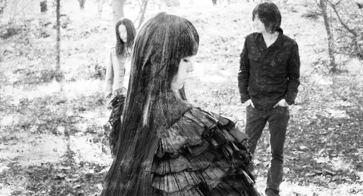 Lily Chou-Chou 2010.12.15 Live "エーテル"