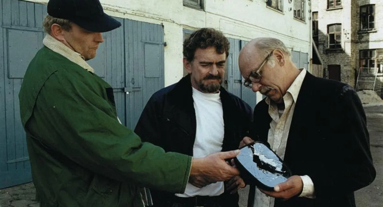 Release All the Horses