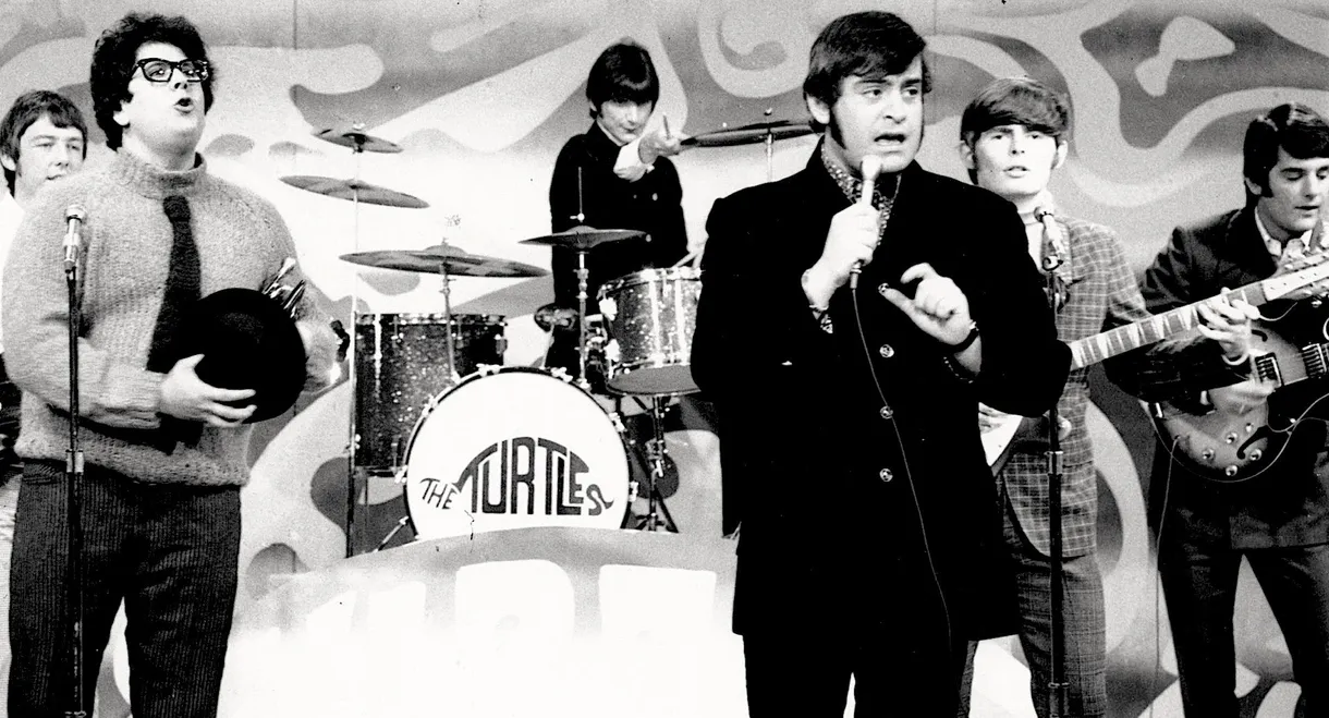 The Turtles: Happy Together