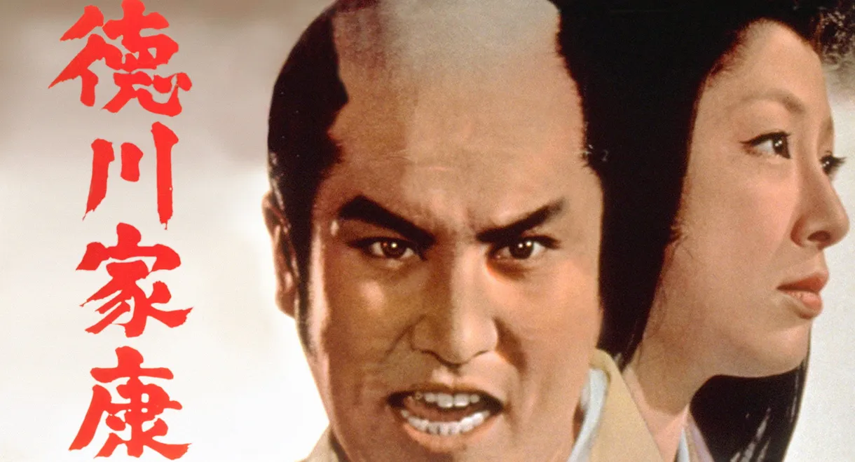 Lord Tokugawa Ieyasu