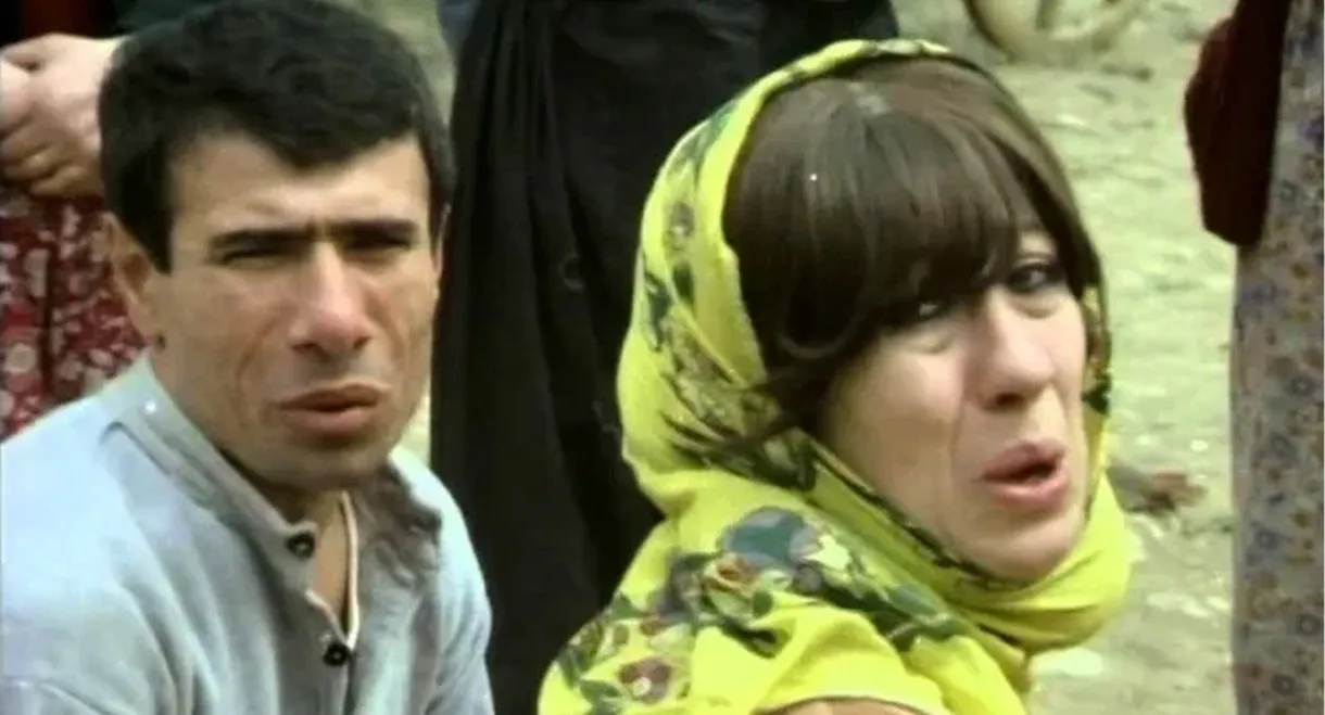 Sarı Öküz Parası