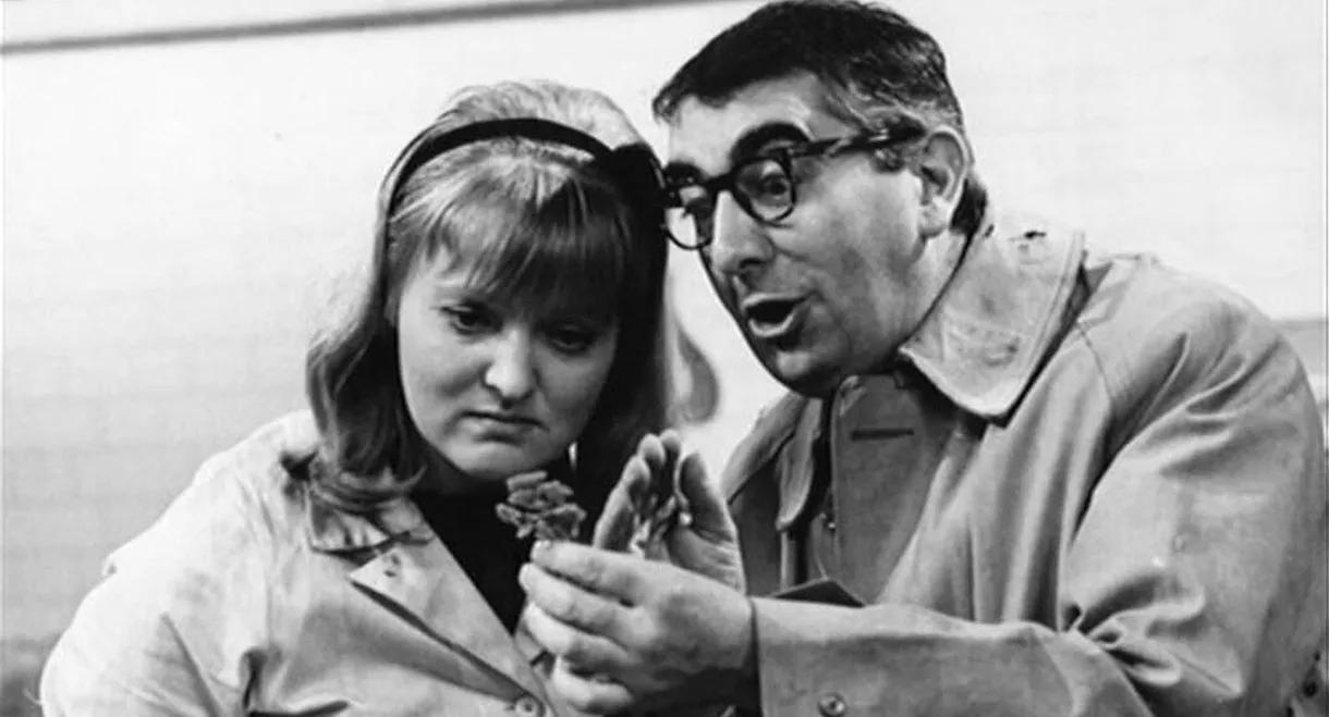 Come Buttercup, Come Daisy, Come......?