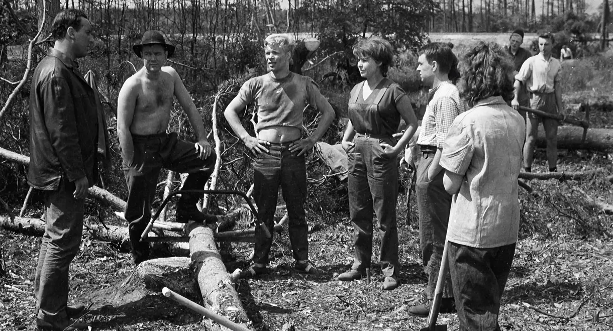 Chronicle of a Summer