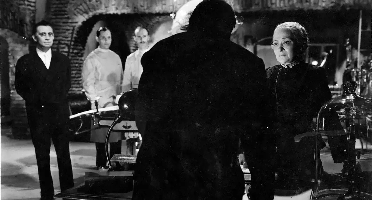 A Light in the Window