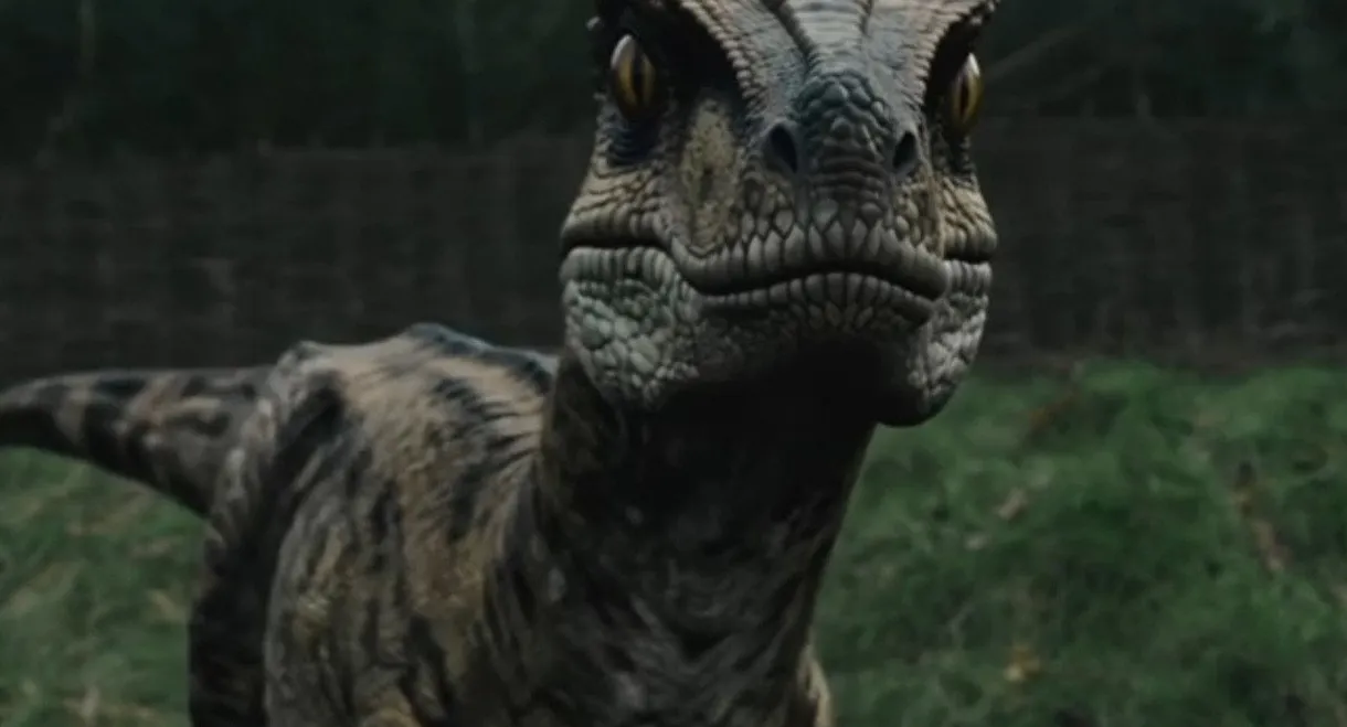 Raptor Attack