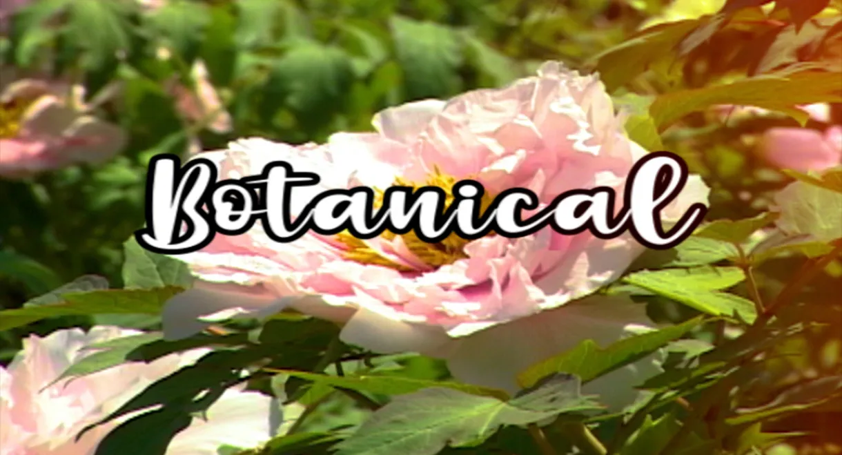 Bloom Skateboards Presents Botanical