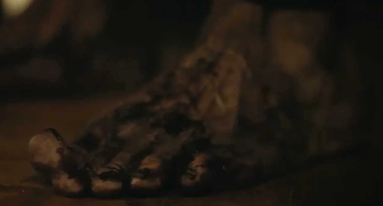 Portraits of the Apocalypse