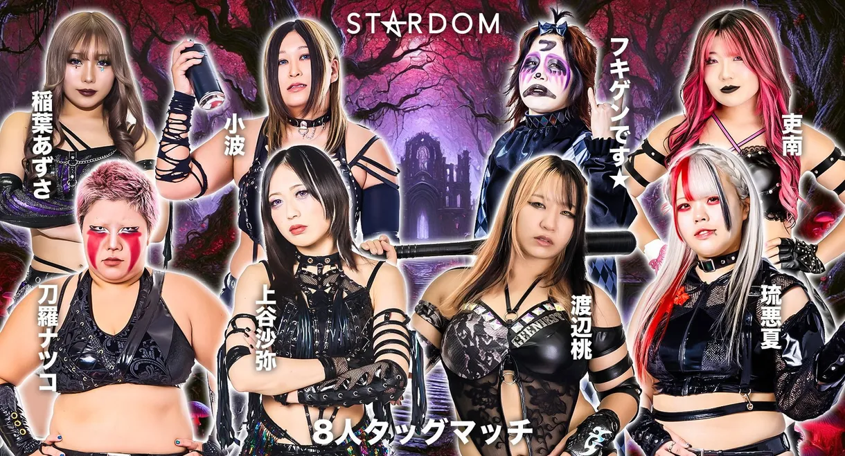 Stardom in Chiba 2025