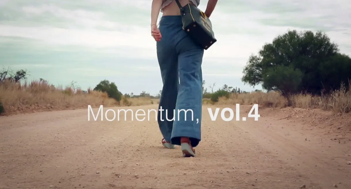 Momentum, vol. 4