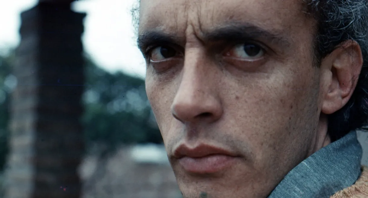 Chronicles of an Exile