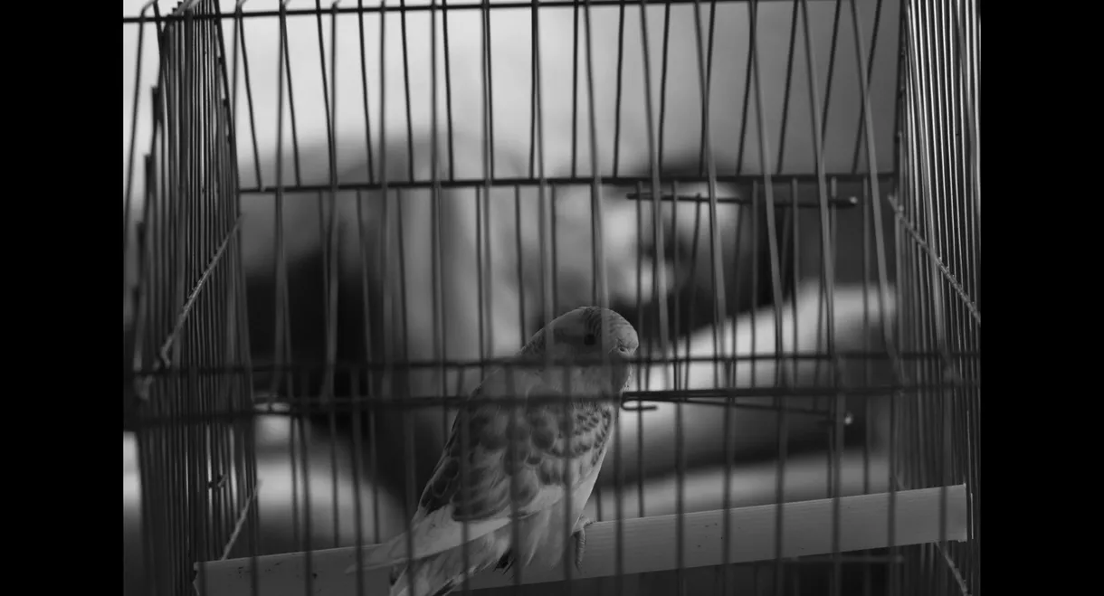 The Distance of Time