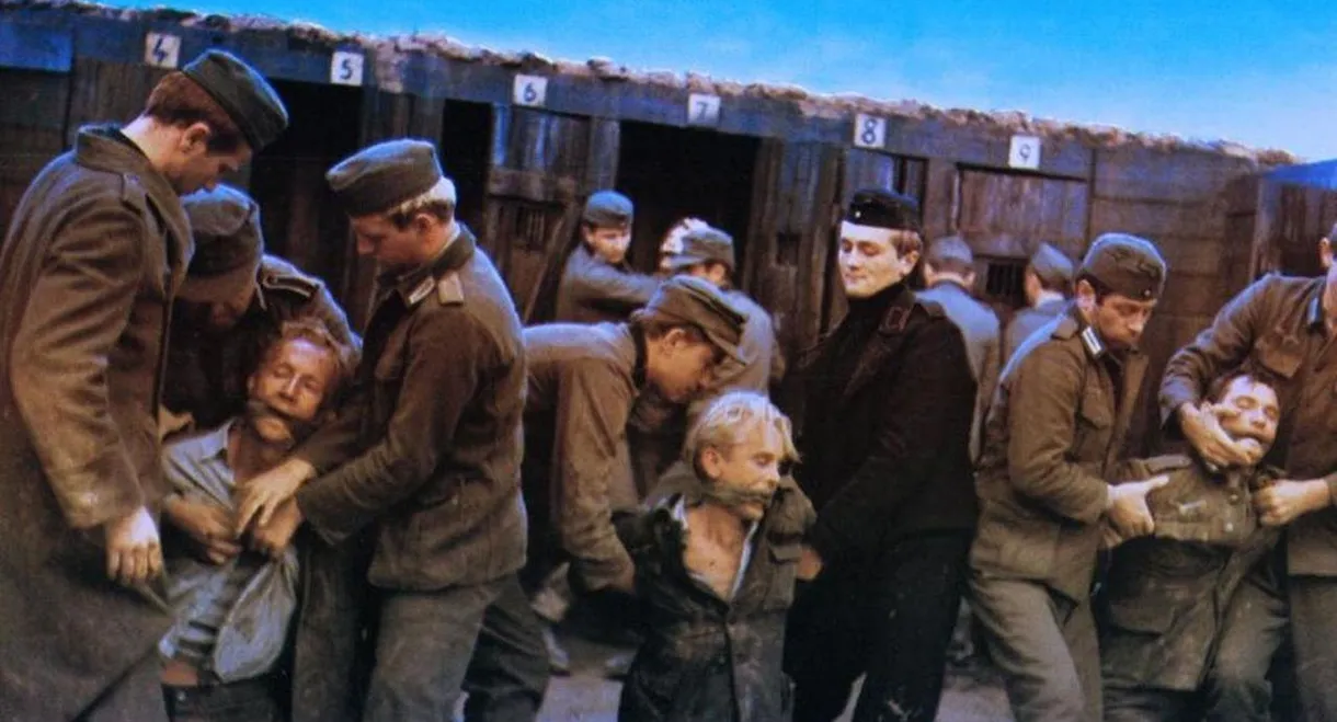 The Fifth Day of Peace