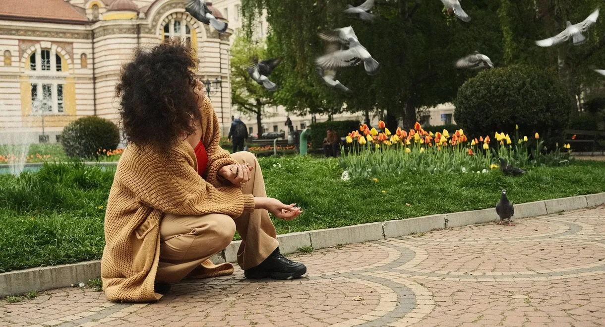 The Ghost of Scheherazade