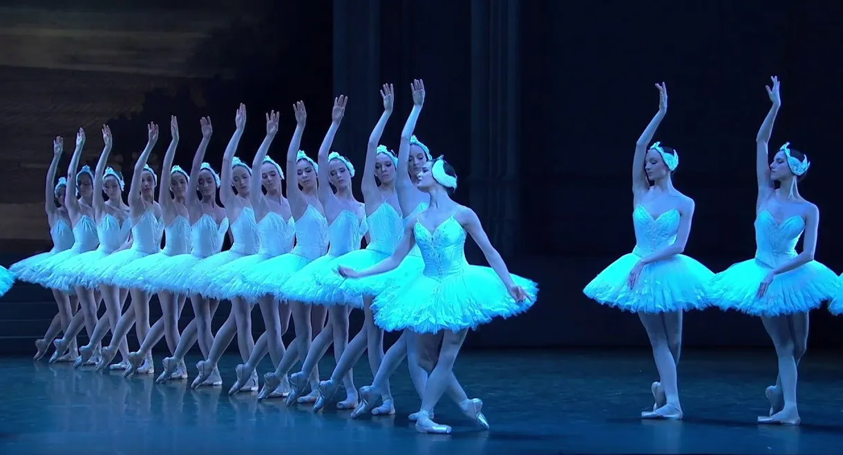 Tchaikovsky: Swan Lake