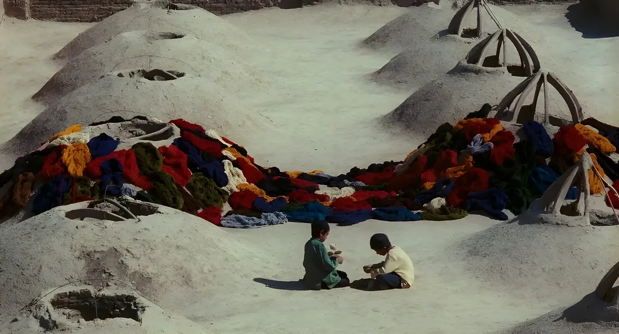 Pomegranate and Cane