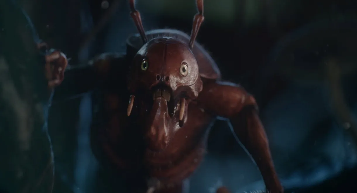 About Bugs and Heroes