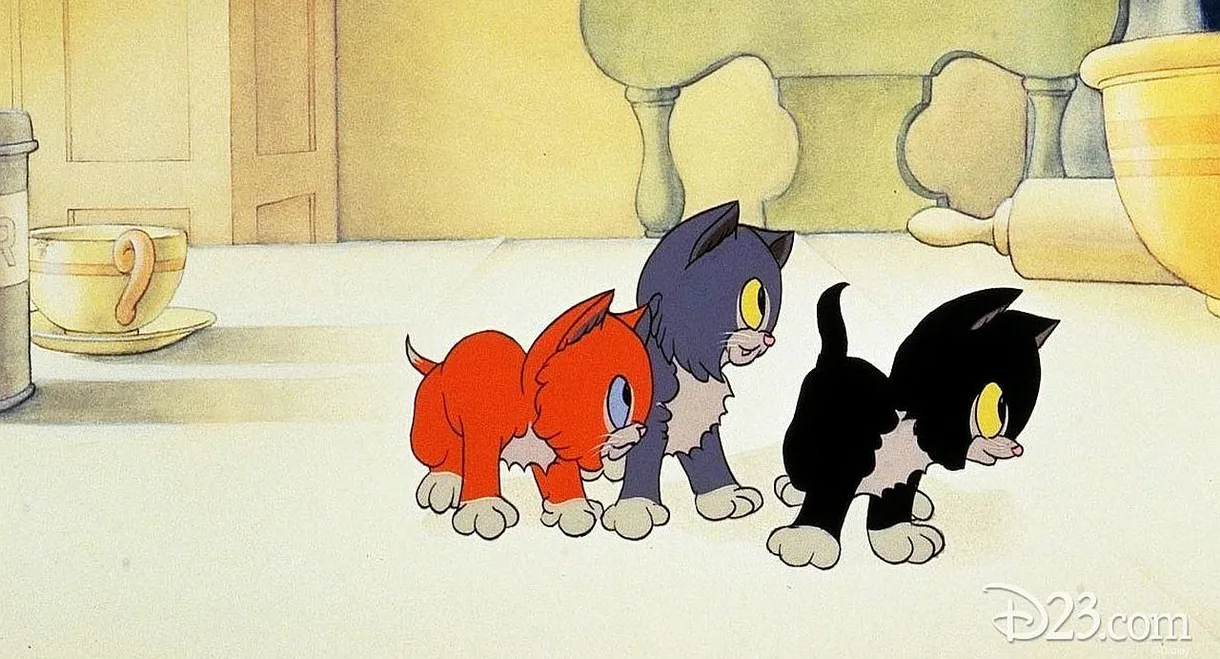 Three Orphan Kittens