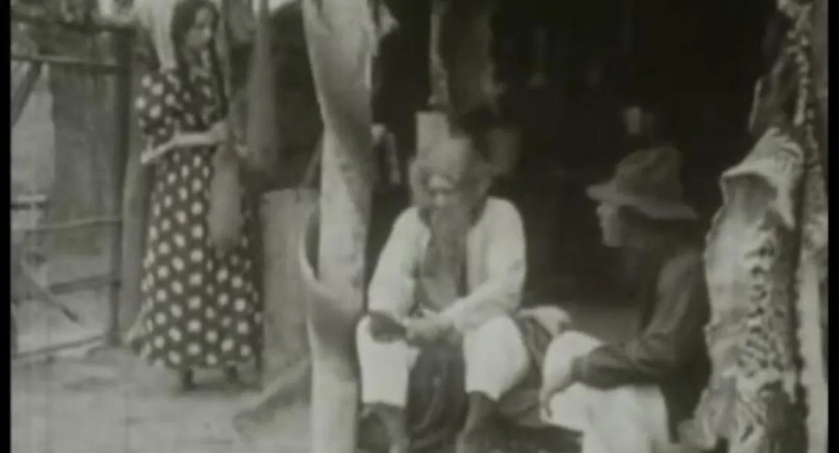 The Last Indian Attack