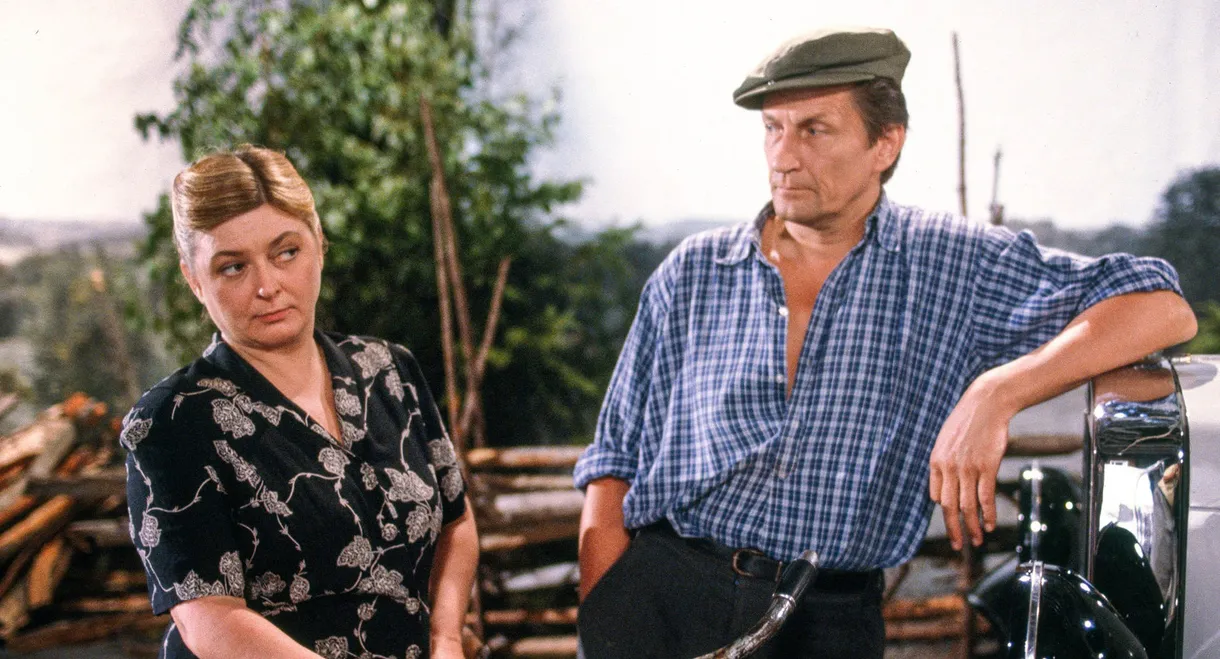 Entäs nyt, Niskavuori?