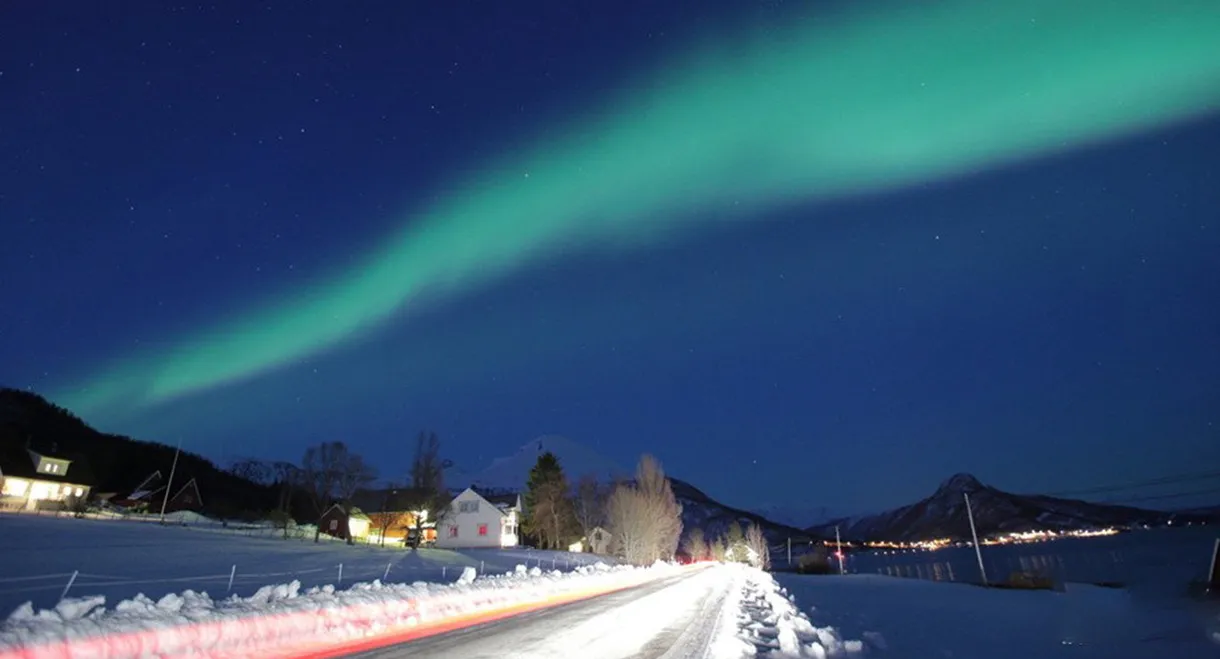 The Pretending Lovers