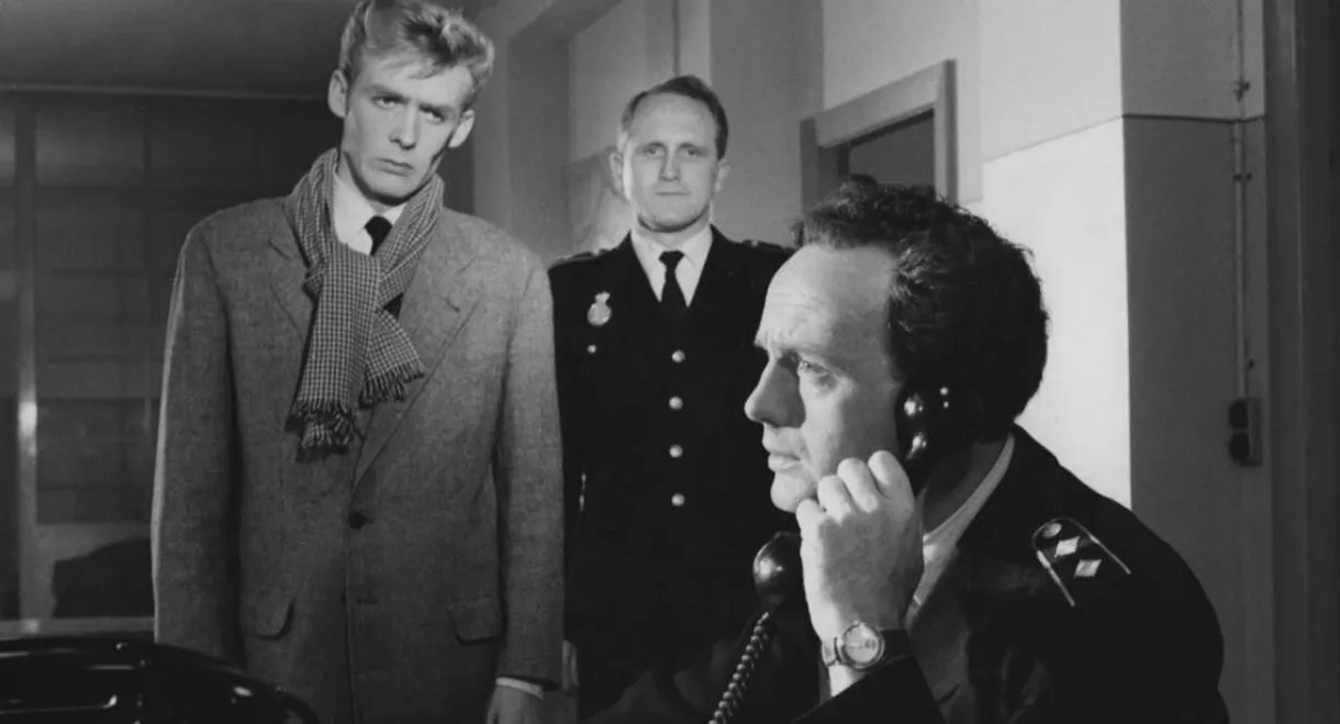 The Young Have No Time