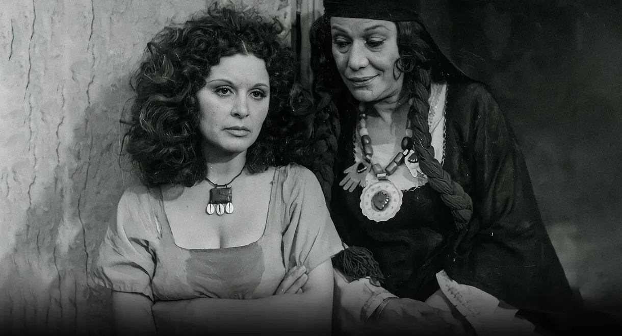 Shafiqa and Metwally