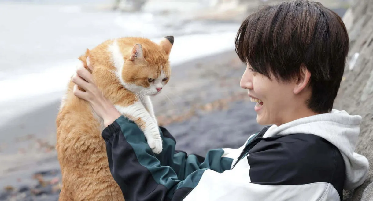 NEKOMIMI - Seaside Pet Detective -