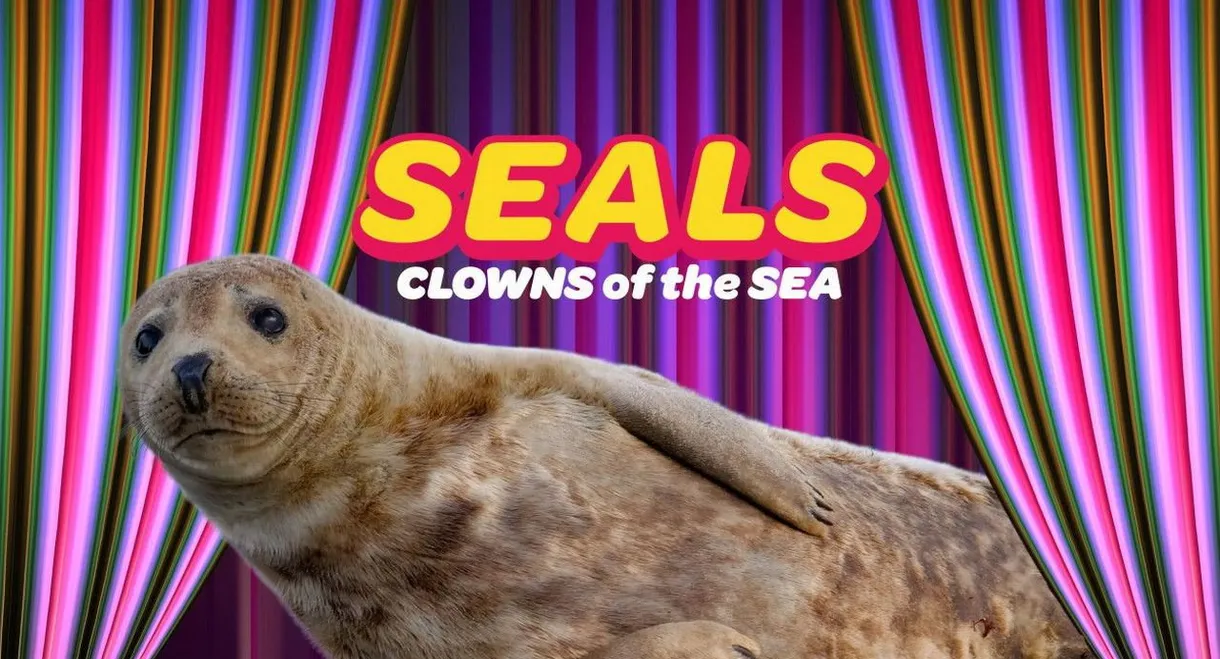 Seals - Clowns of the Sea